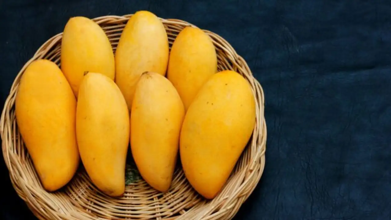 The mango is crowned the 