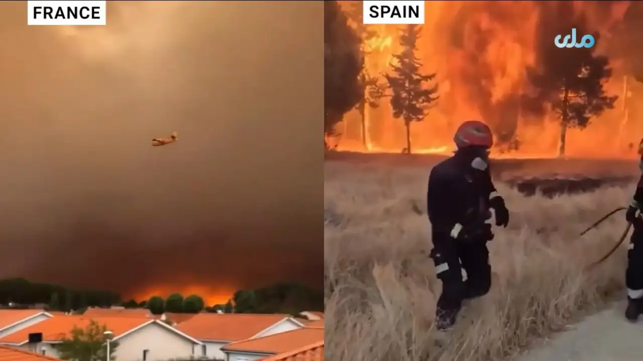 Screen Capture from the Video